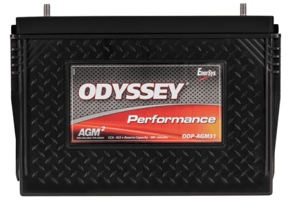 ODP-AGM31  (31-925S)