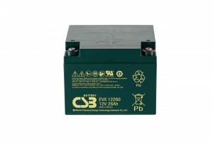EVX12260  CSB