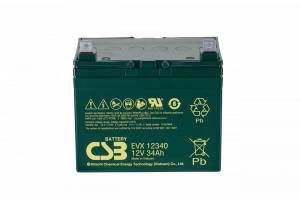 EVX12340  CSB