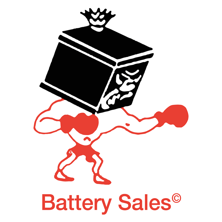 ACDelco 8DSA Heavy Duty Commercial Battery, product image from Batterysales